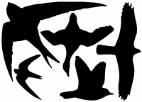 Vogel Raamstickers